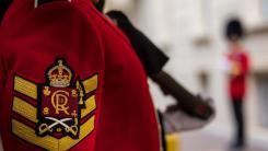 Mesaj ferm al regelui Charles în Congresul SUA: Ucraina trebuie apărată, NATO rămâne esențială