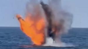Două drone ruse Gerbera au fost distruse azi de Armata României în zona economică exclusivă (Video). Acestea pluteau aproape de Neptun Deep