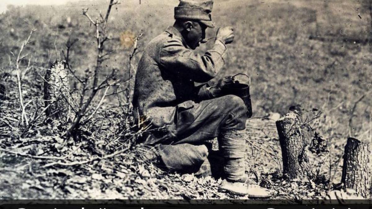 marasesti_6_august_09952800