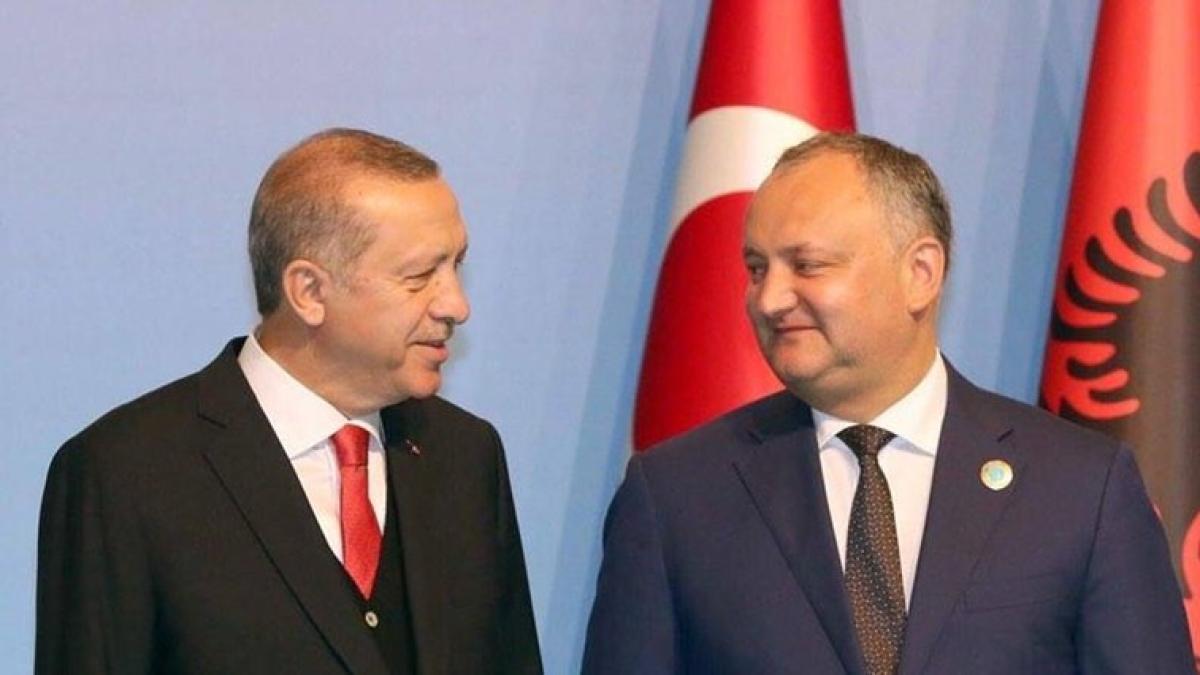 erdogan_dodon_64826900
