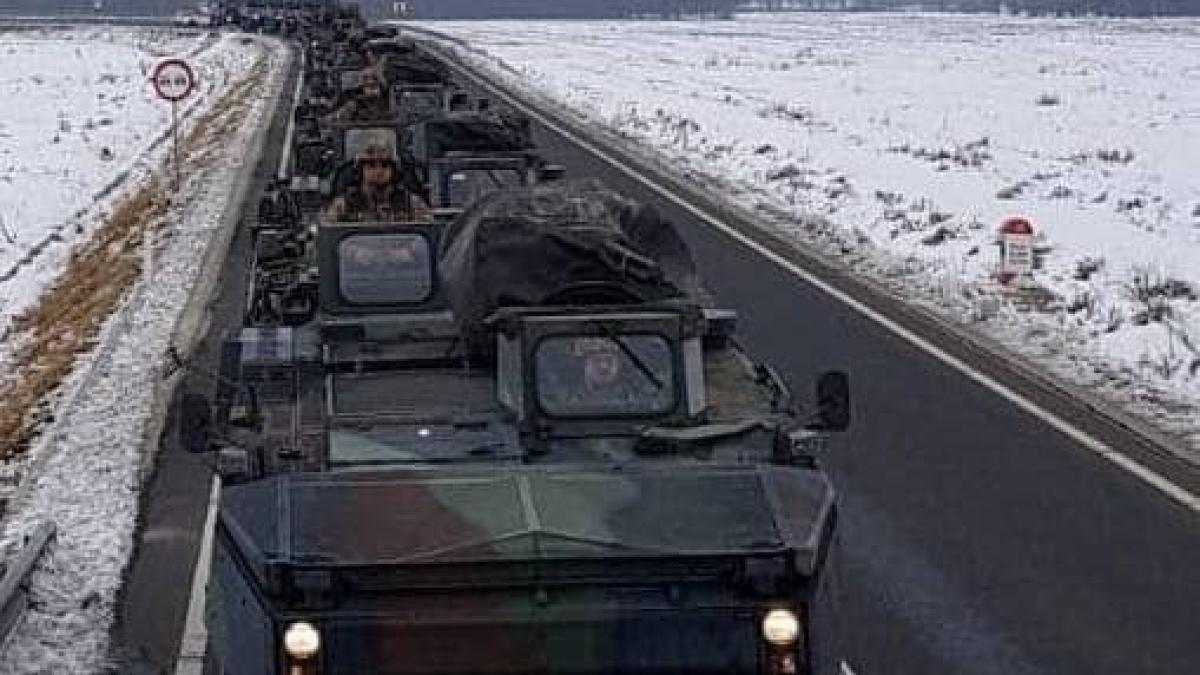 piranha_scorpionii_rosii_17804900