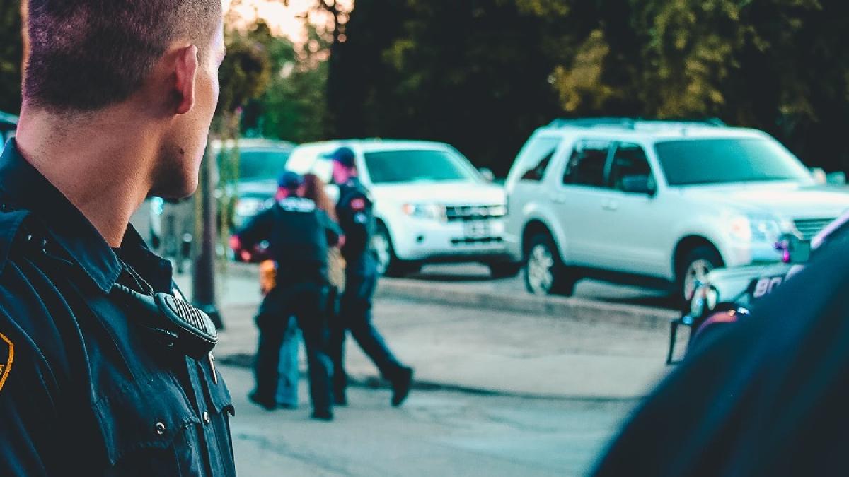 politie_arest_09708600