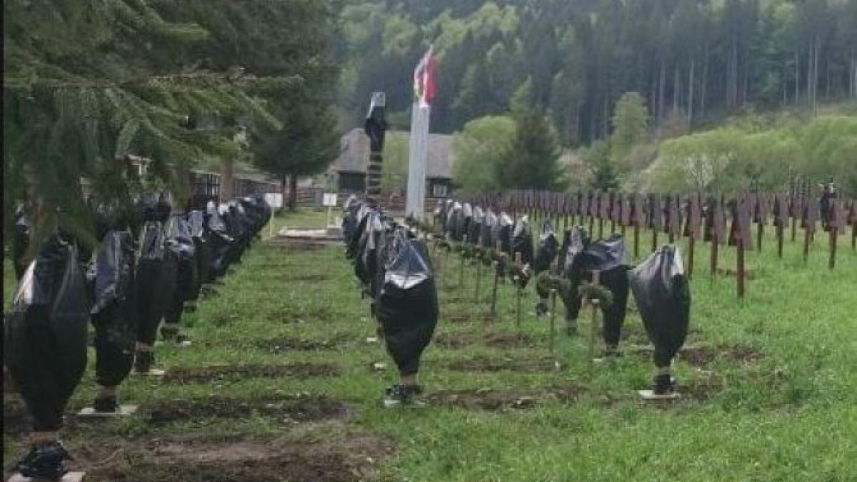 cimitir_profanat_57693800