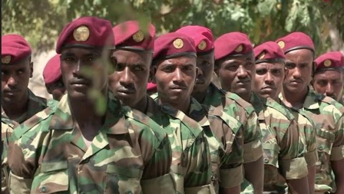 etiopia_armata_41349000