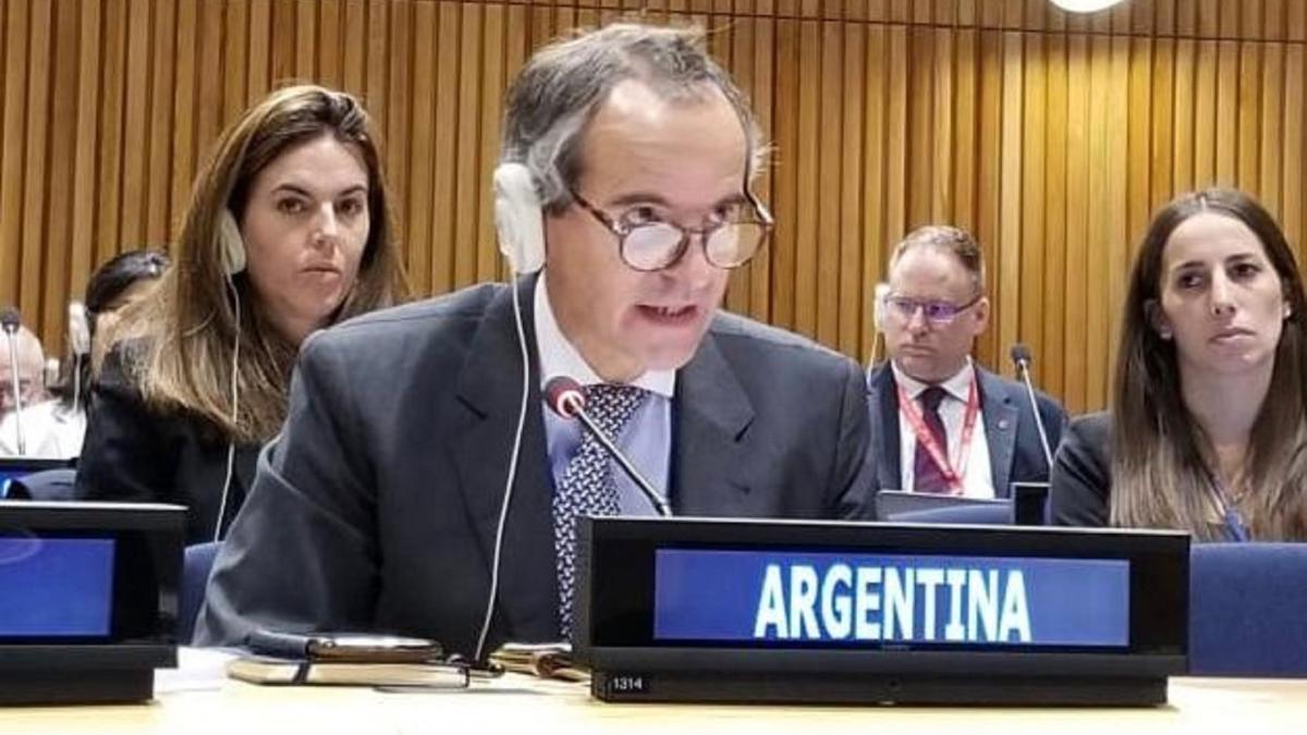 rafael_grossi_22755800