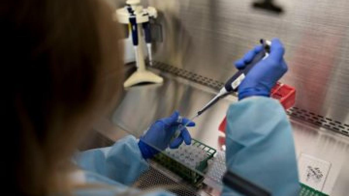 laborator_bun_81720500