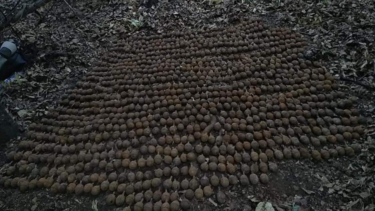 grenade_1_vrancea_28705600