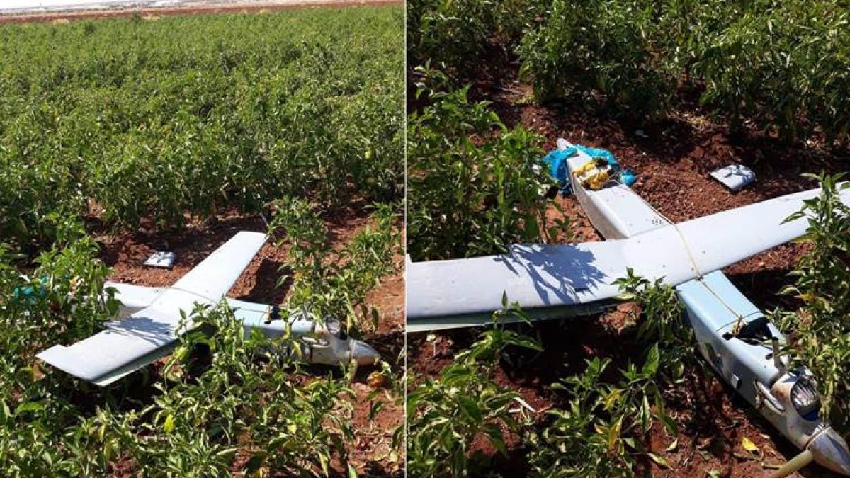 turkey_drone_82547900