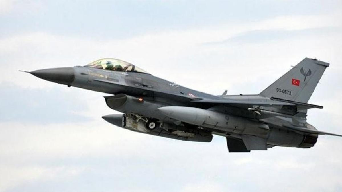 turkeys_f_16_70750000