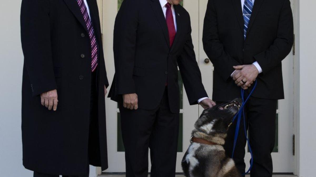 donald_trump_cainele_conan_22908700