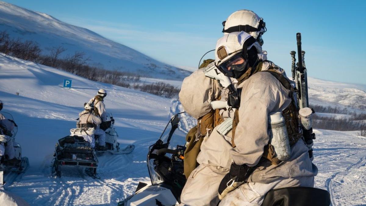 skjold_norvegia_12059800