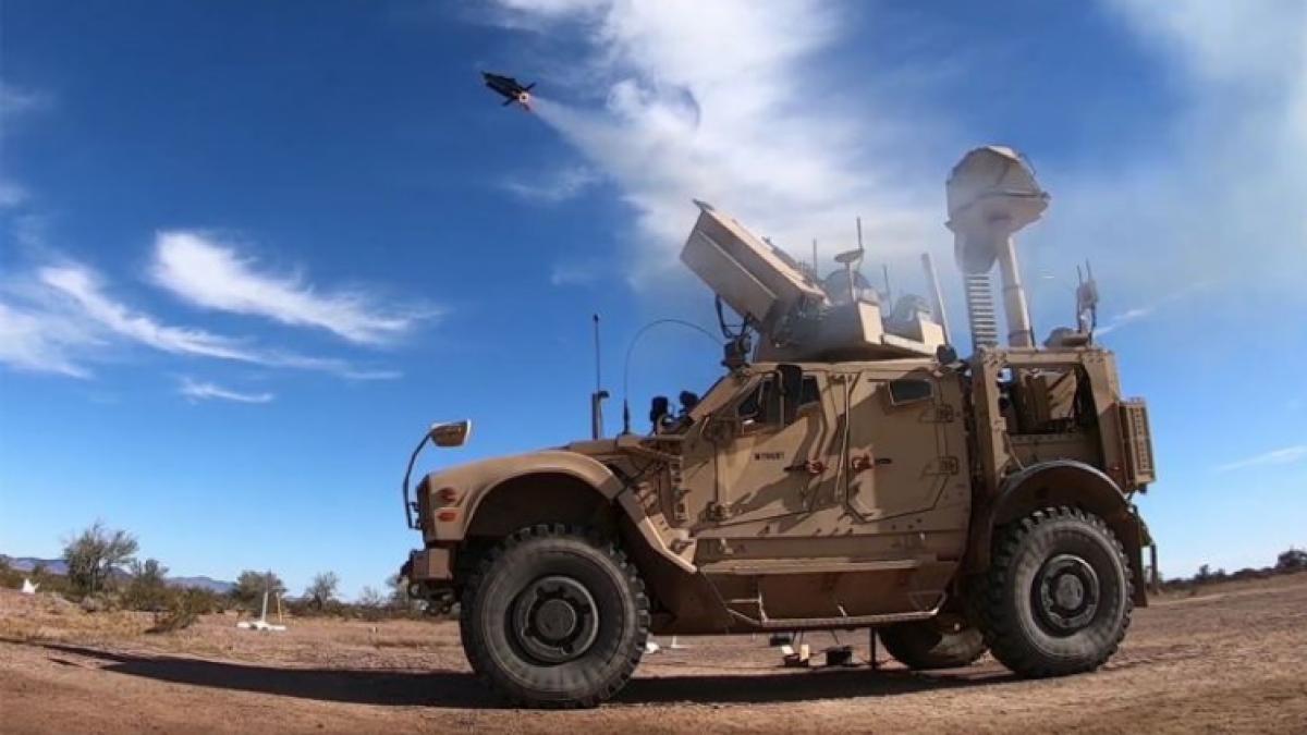 coyote_block_2_17383700