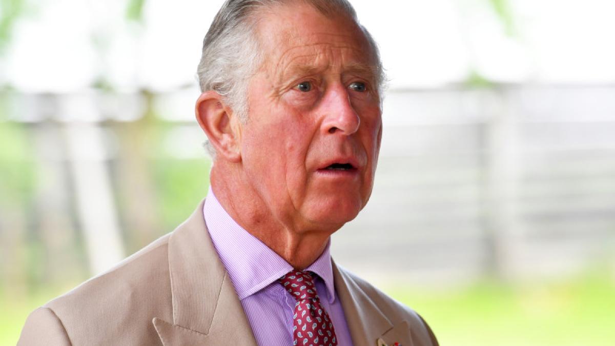 printul_charles_agerpres_66814900