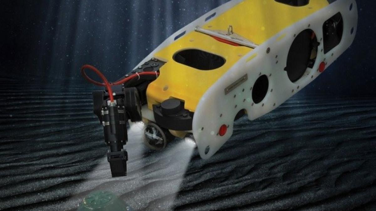 sea_wasp_rov_olanda_72644000