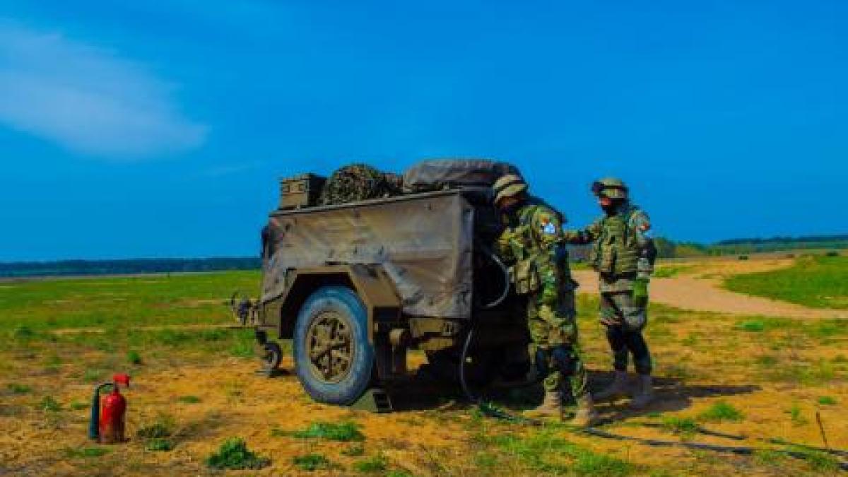 scorpionii_albastri_00178700