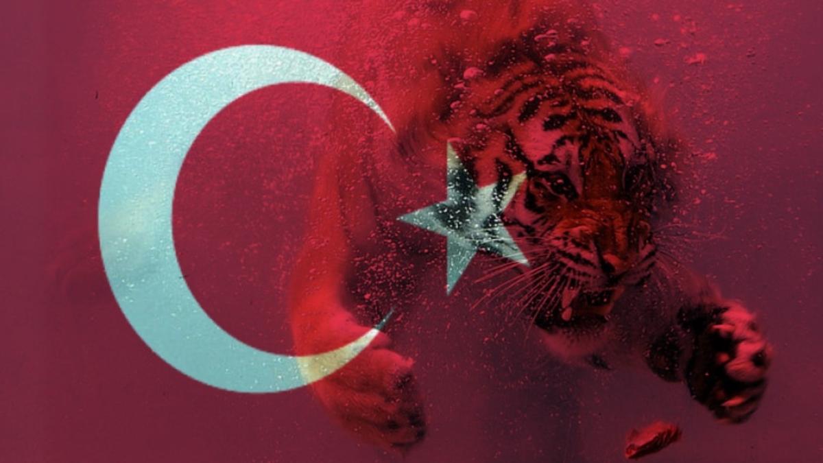 operatiunea_gheara_tigrului_turcia_40497000