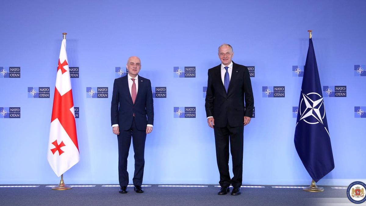 david_zalkaliani_mircea_geoana_34175400