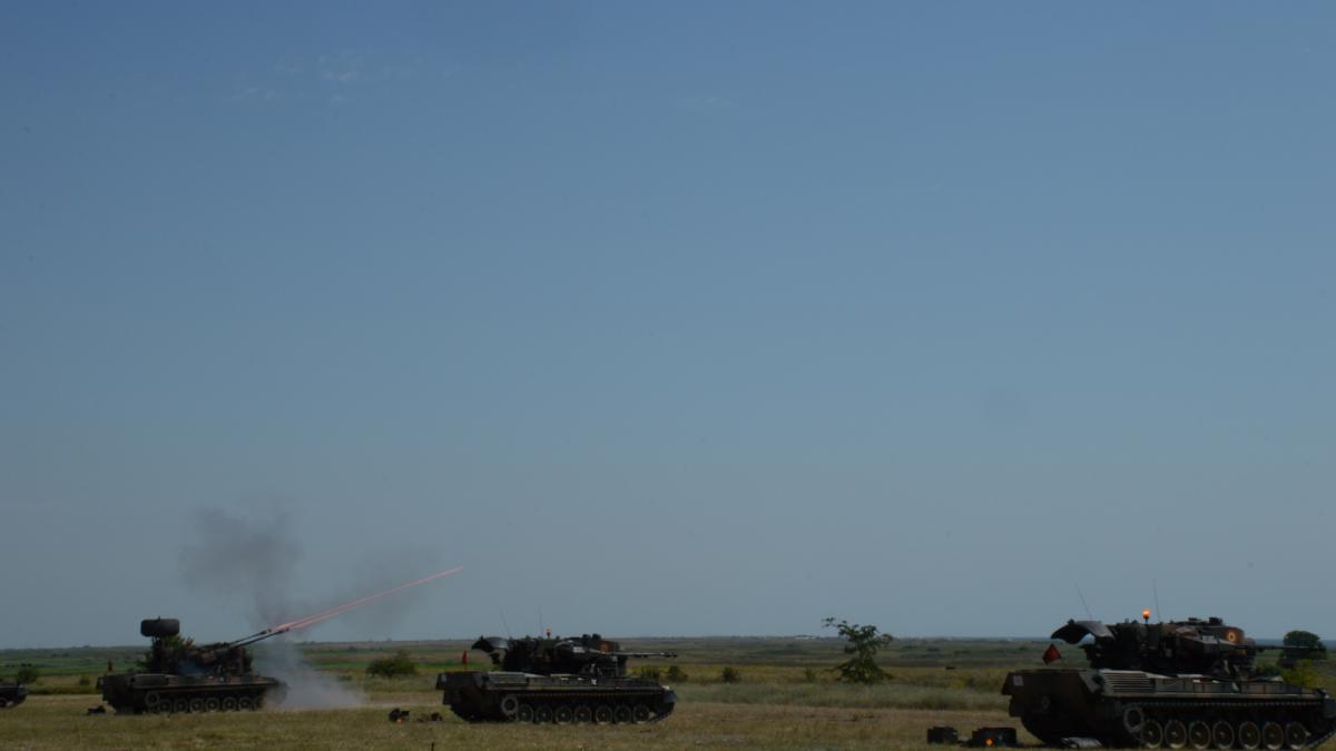 sisteme_gepard_83593000