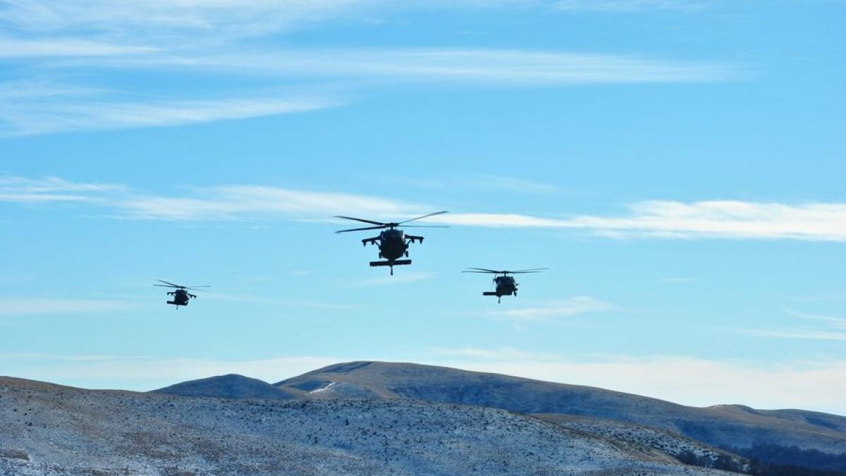 exercitiu_miliar_wolf_strike_20_63932200