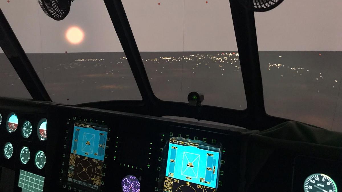 simulator_vedere_07446200