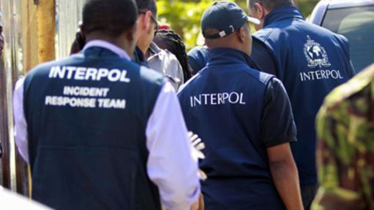 interpol_05492800