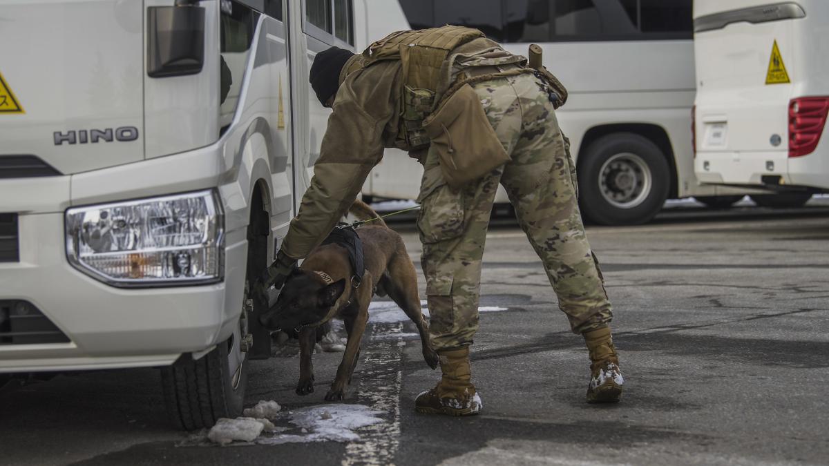 caine-militar-k9_74729300