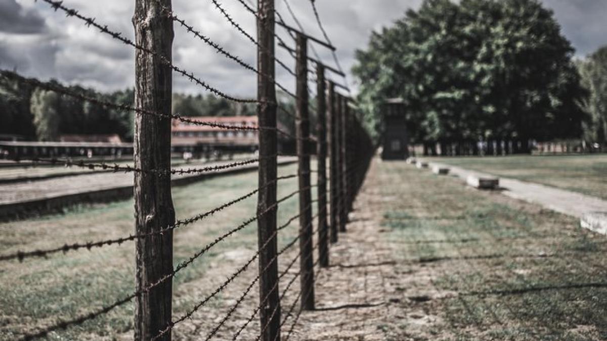 lagar-nazist-stutthof_71508900