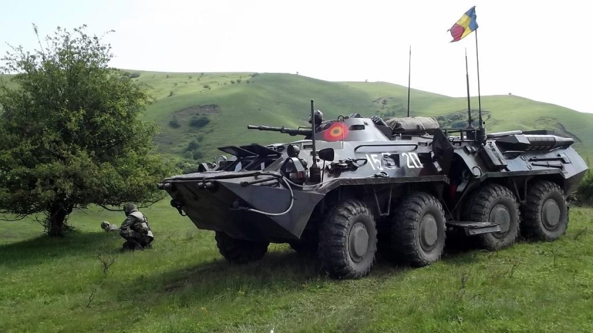 b-33-zimbru_43939300