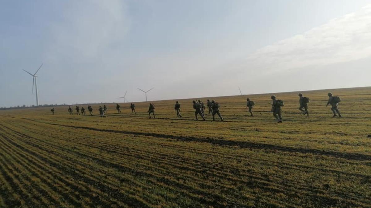 infanterie-marina-pas-alergator_80785900