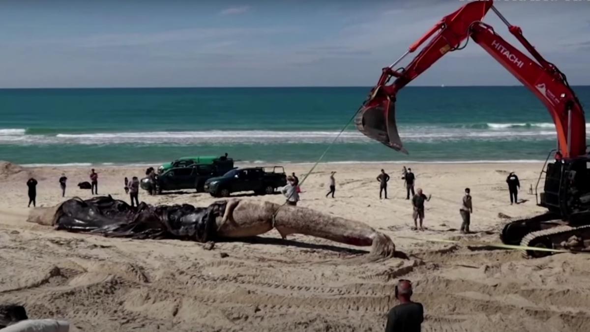 israel-poluare_70650700