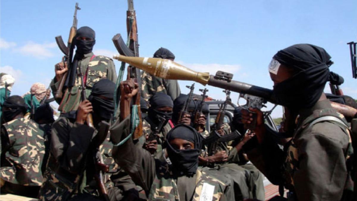 94455fc1-d62f-411b-aa56-9723b918facf_84771800