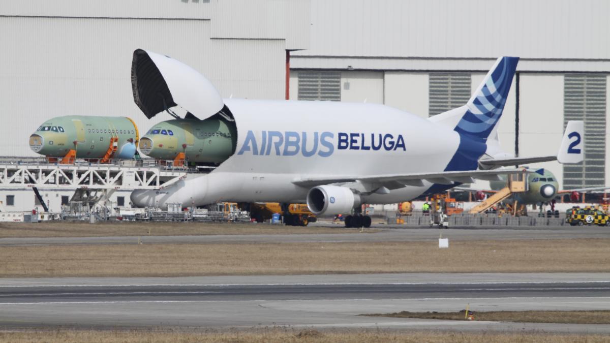 beluga_airbus_96907900