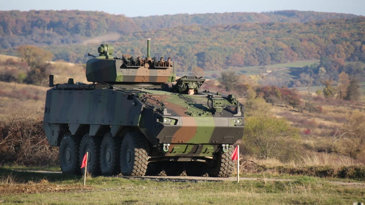 piranha-v-5_36864200