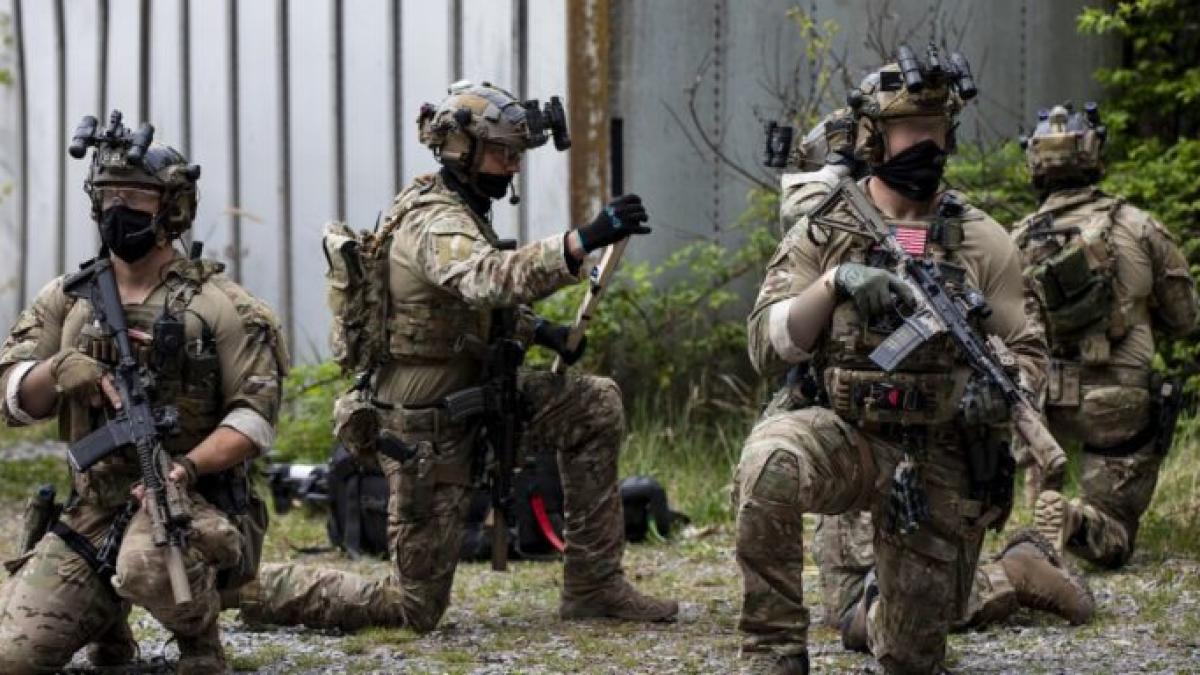 beretele-verzi-sua-fortele-speciale_05806300