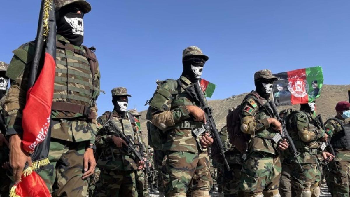 fortelor-speciale-afgane-in-europa_11855600