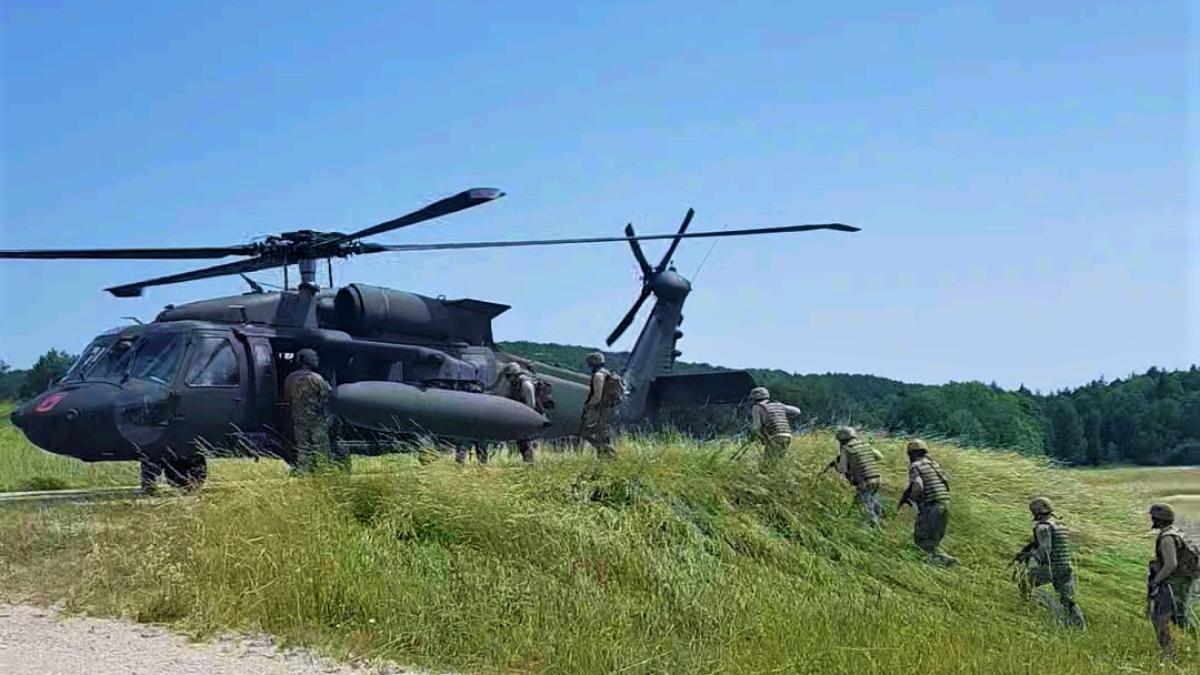 fortele-terestre-romane_97785200