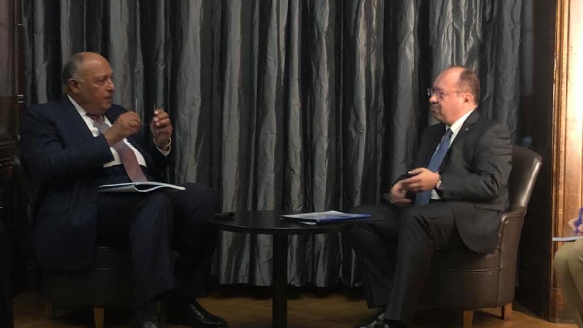 bogdan-aurescu-si-sameh-hassan-shoukry_71454500