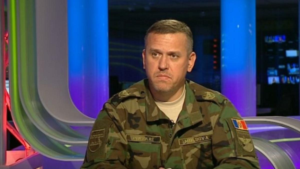 alexandru-pinzari_11037400