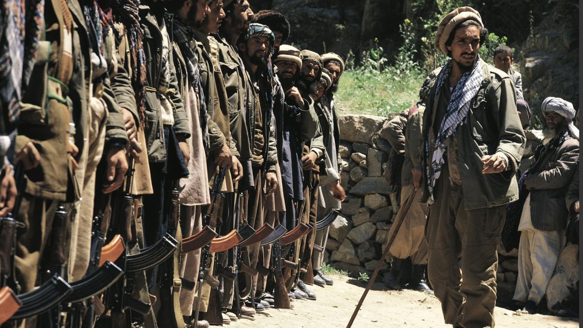 ahmed-massoud_43929400