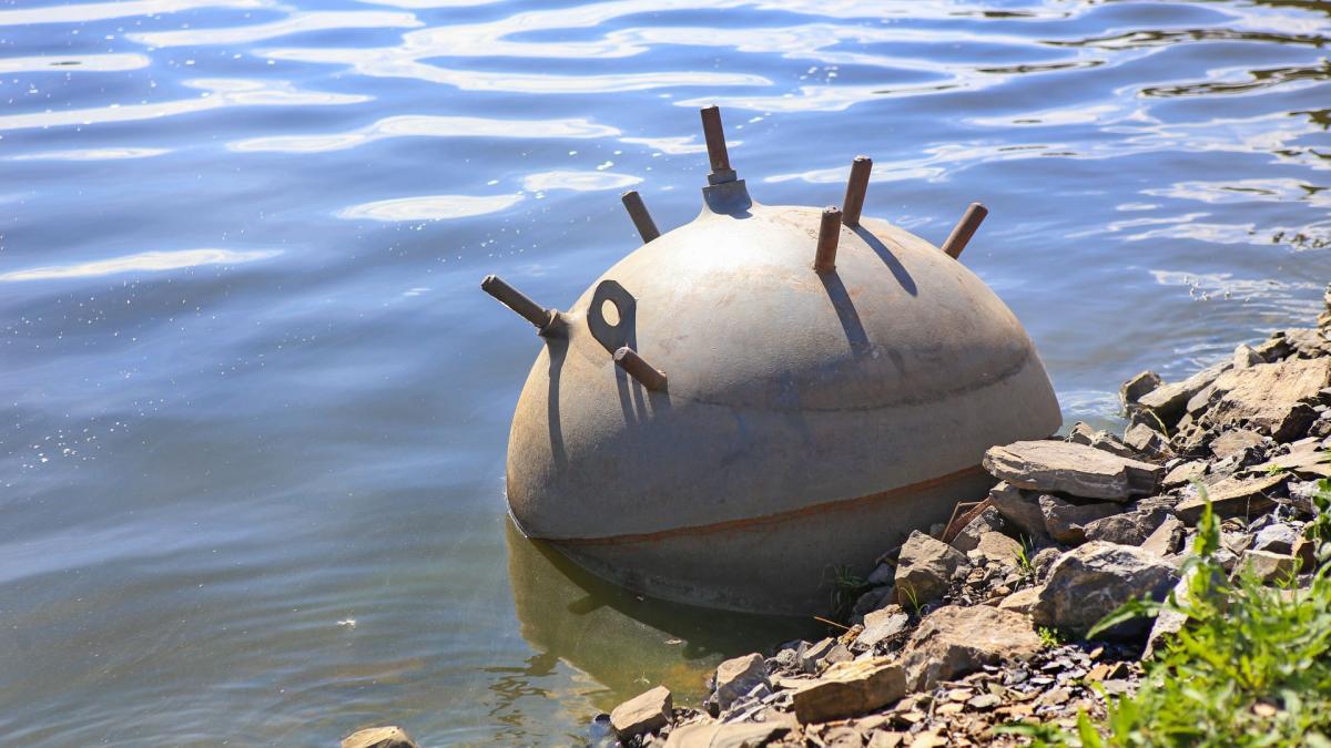 mina-marina_14690500