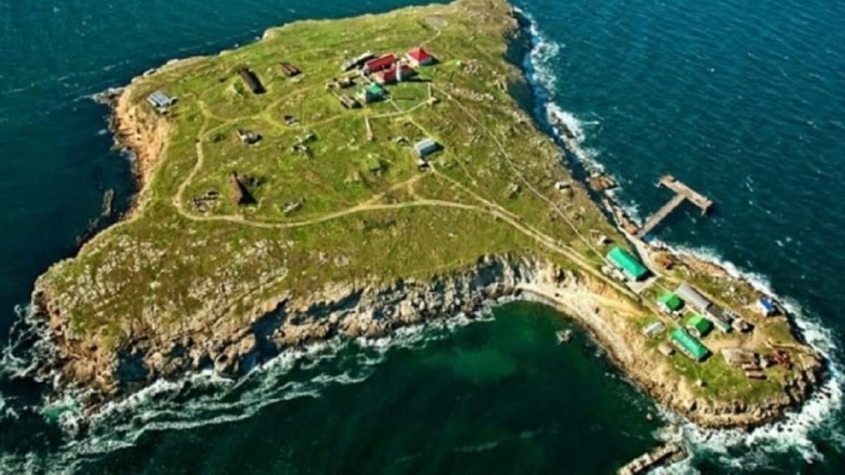 fregate-ruse-insula_serpilor_46623300