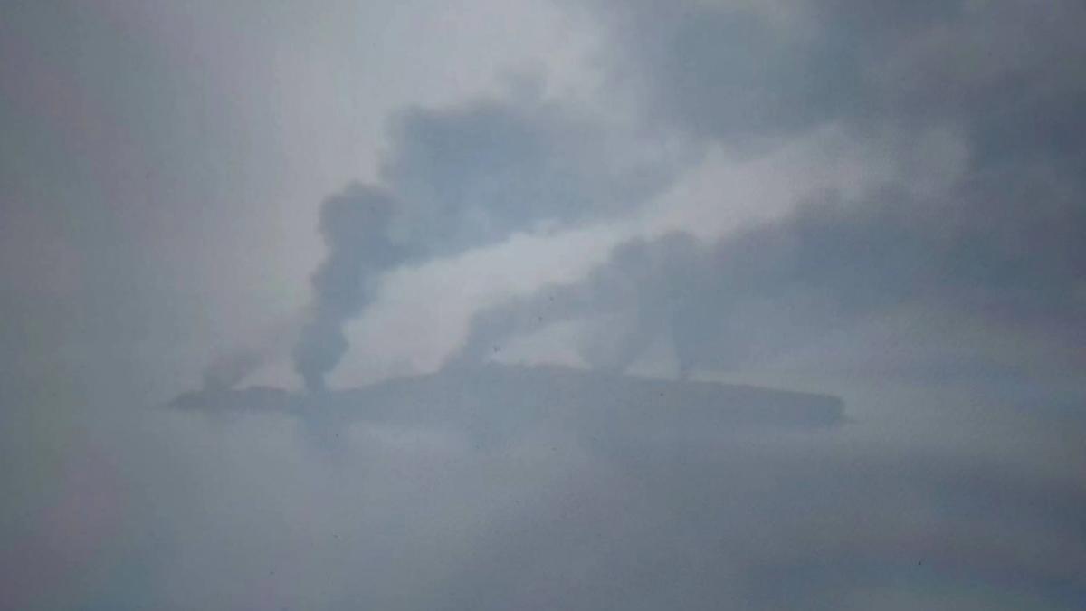 insula-serpilor_71963000