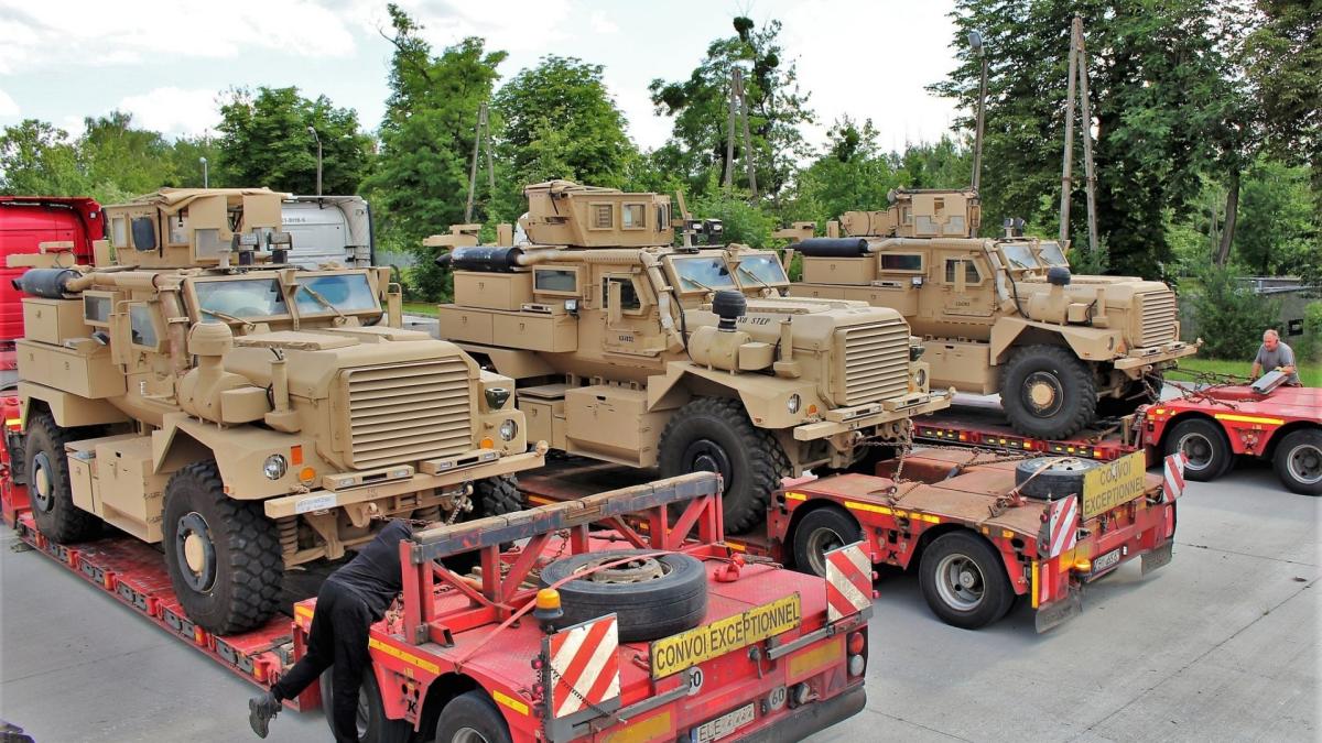 vehicule-cougar_85330100