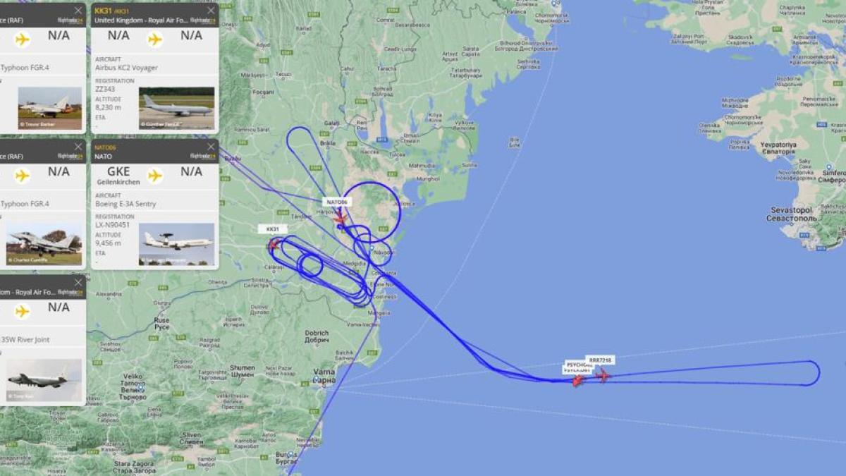 whatsapp-image-2022-10-18-at-17-42-07_36642100