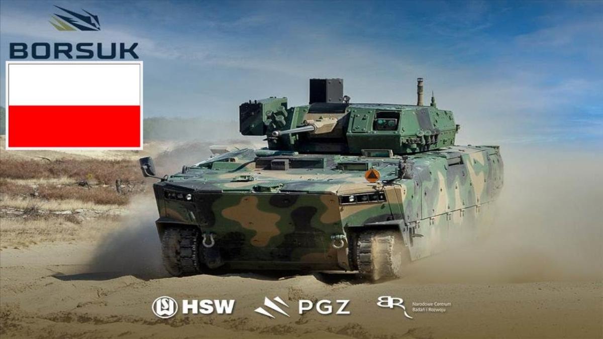 borsuk-polonia_93982800