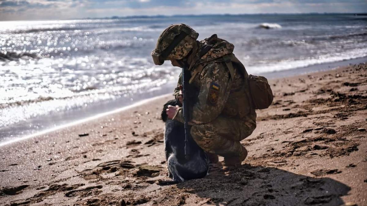 ucraina-armata_59880500