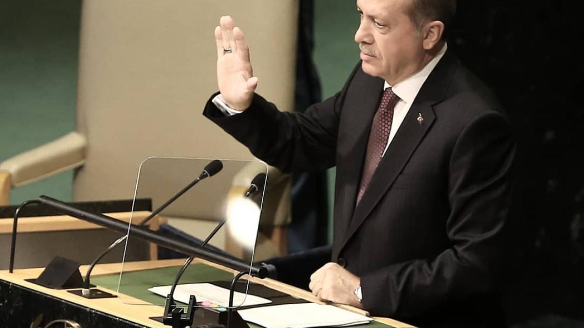 70778655_10157001298063577_5695162785235730432_o_15462600