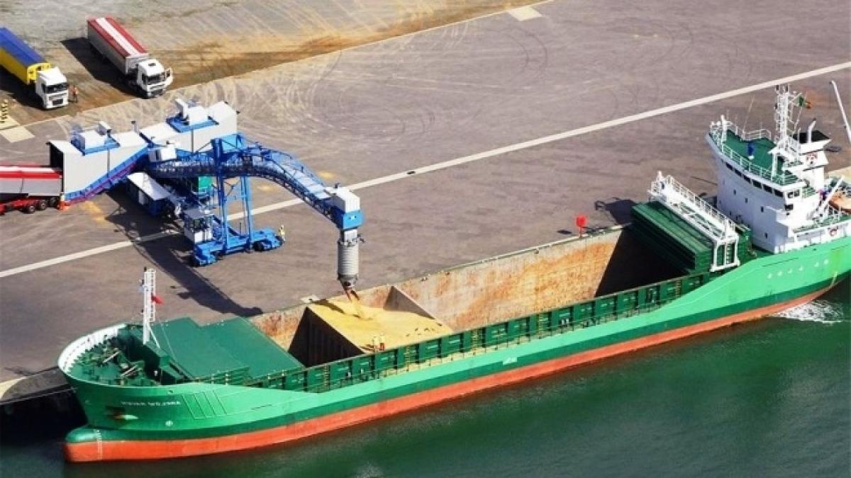 export-cereale-ucraina-marea-neagra_07447900