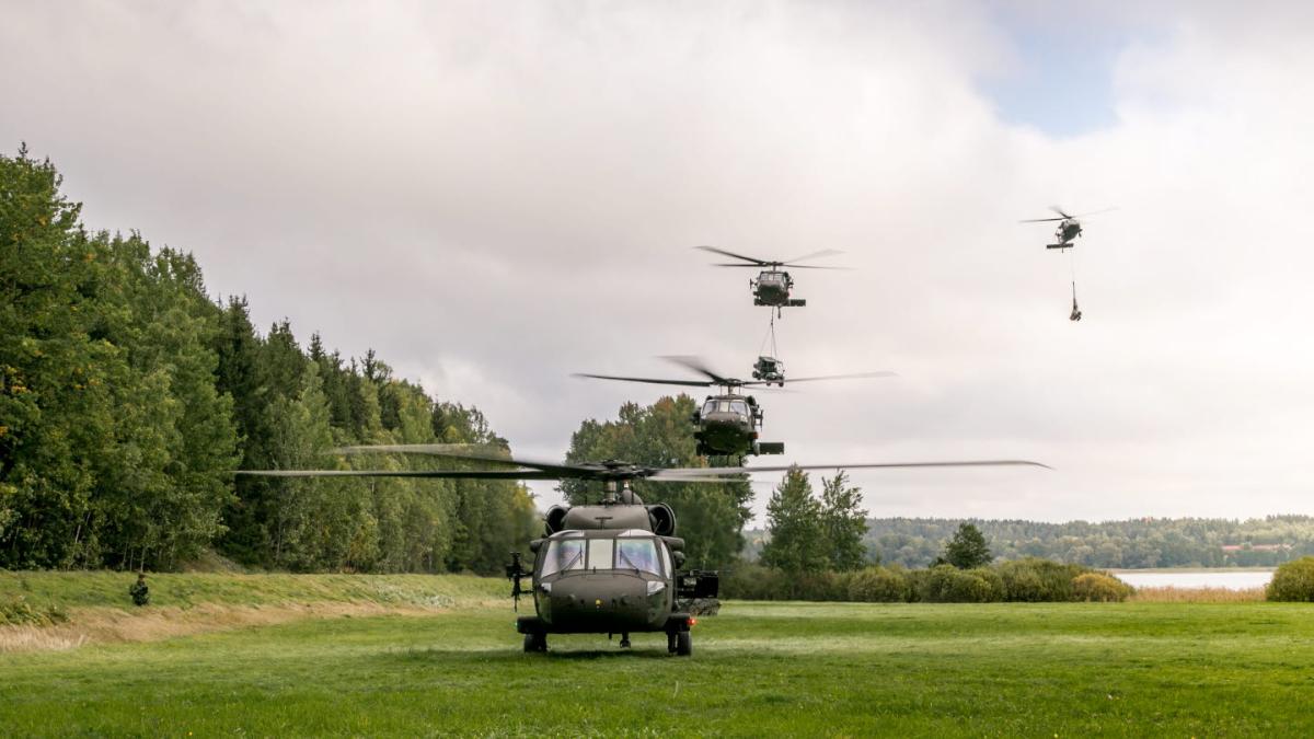 armata-suedeza-suedia_75003400