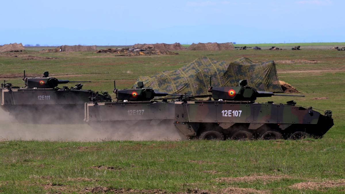 piranha-5-romania_05911100